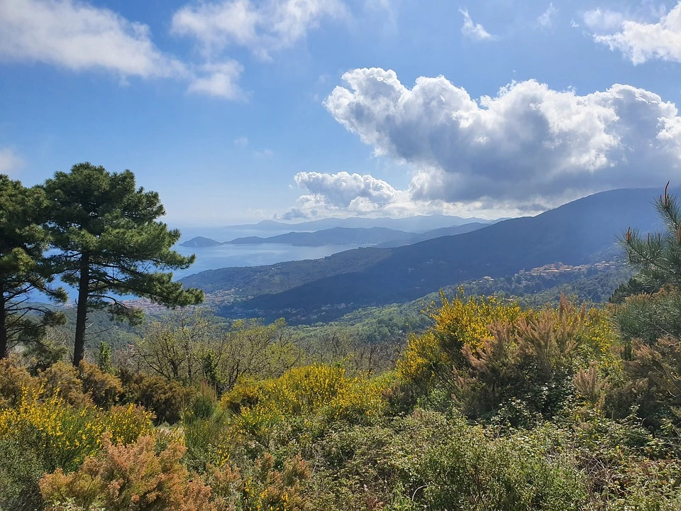 Le attività che puoi fare sull'isola d'Elba nella stagione invernale