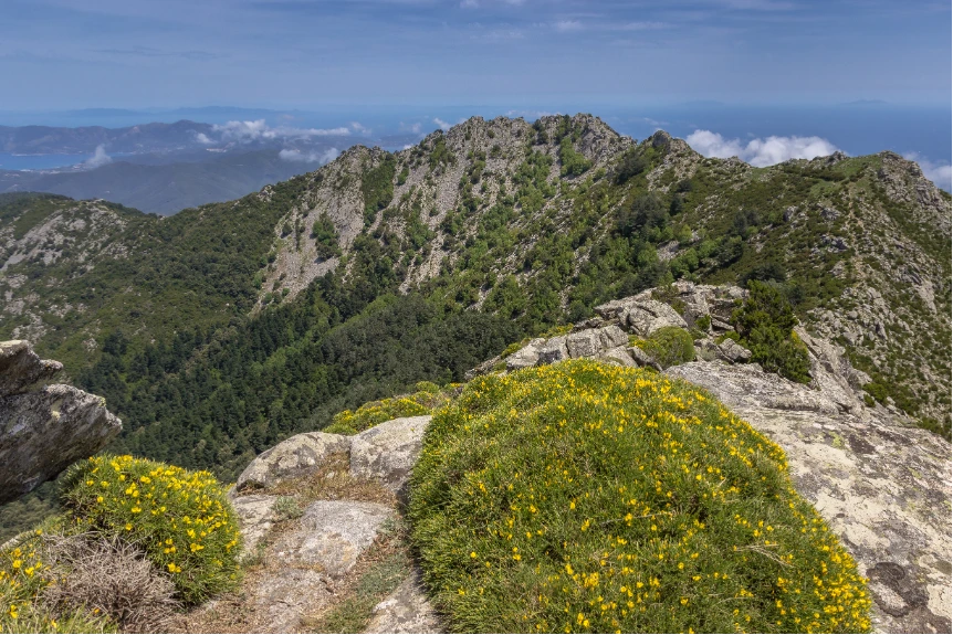 Viaggio alla scoperta del Monte Capanne, la vetta più alta dell'Elba