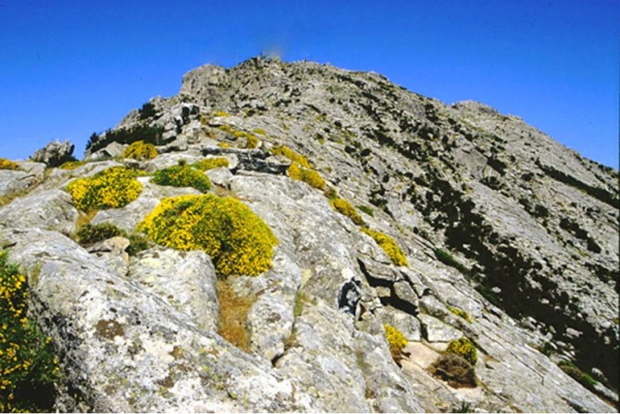 Viaggio alla scoperta del Monte Capanne, la vetta più alta dell'Elba