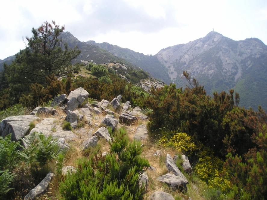 Viaggio alla scoperta del Monte Capanne, la vetta più alta dell'Elba