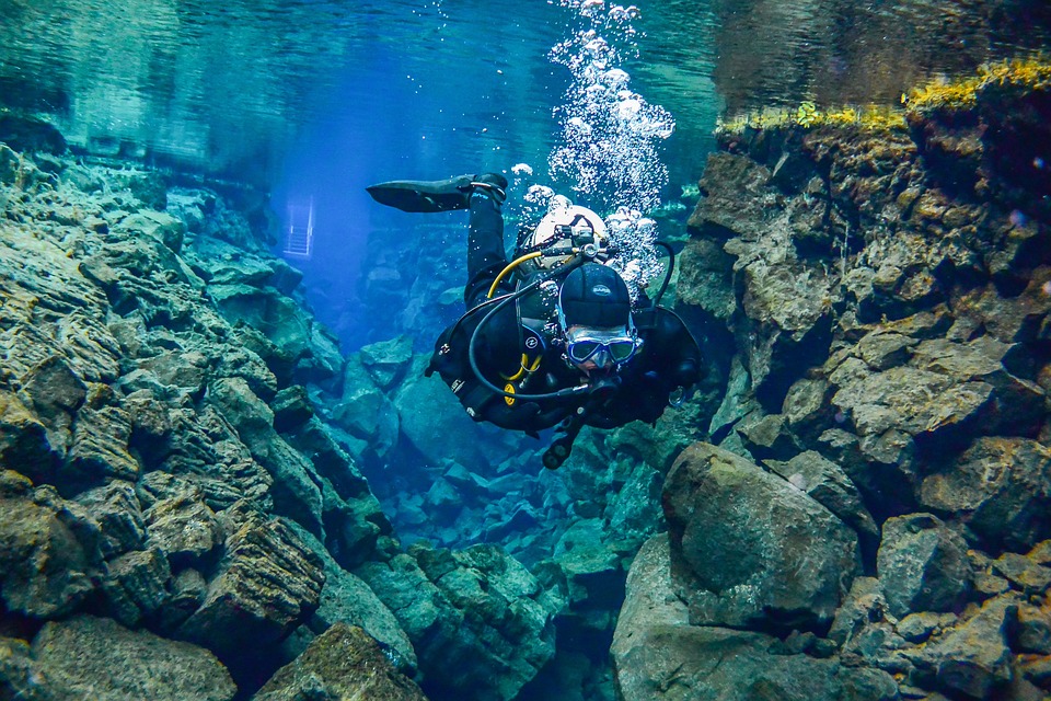 Immersioni all'Isola d'Elba